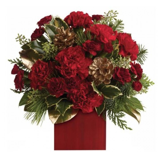 Laughter and Cheer Laughter and Cheer